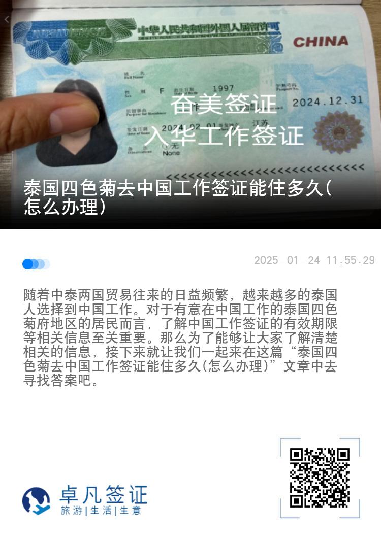 泰国四色菊去中国工作签证能住多久(怎么办理)